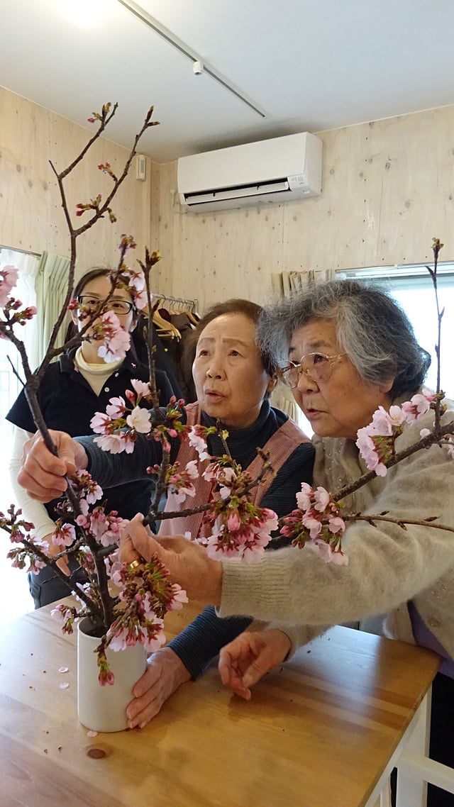 河津桜！