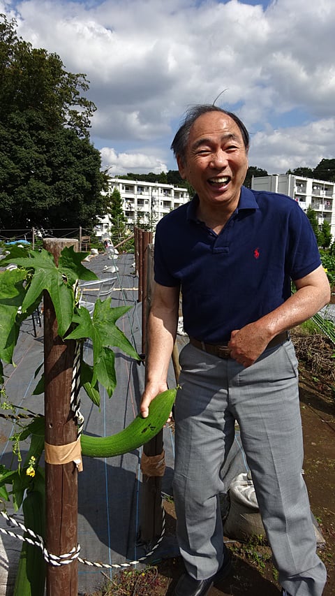 大きいですね。