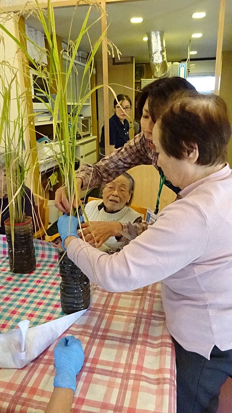 さぁ、稲刈りです！