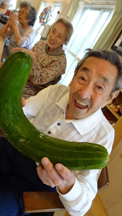 畑2