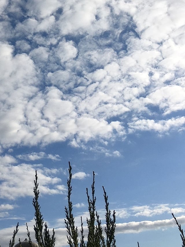 令和2年1月2日の空