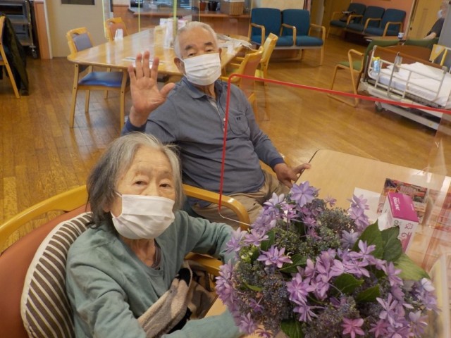 きれいですね