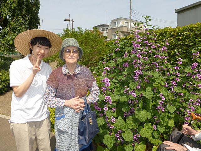 お花もきれいです！